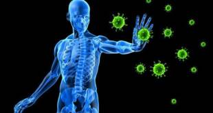 Aumentando o Sistema imunológico