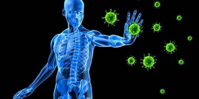 Aumentando o Sistema imunológico