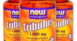 Tribulus Terrestris Now Foods 100mg o que é