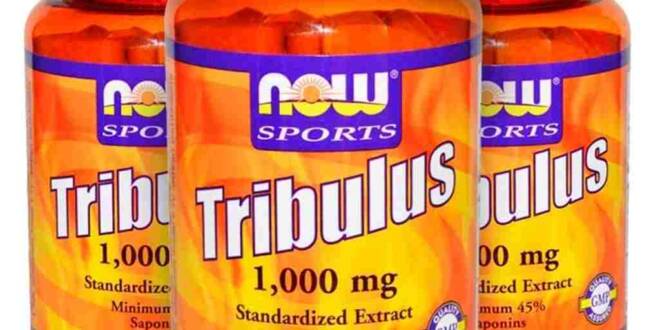 Tribulus Terrestris Now Foods 100mg o que é